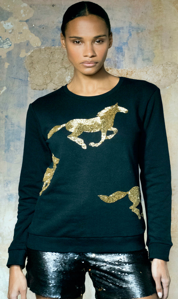 Cualquier vieja sudadera de caballo de hierro