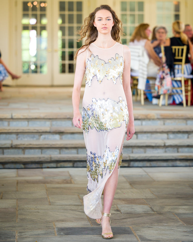 Any Old Iron Sheer Looks Dress