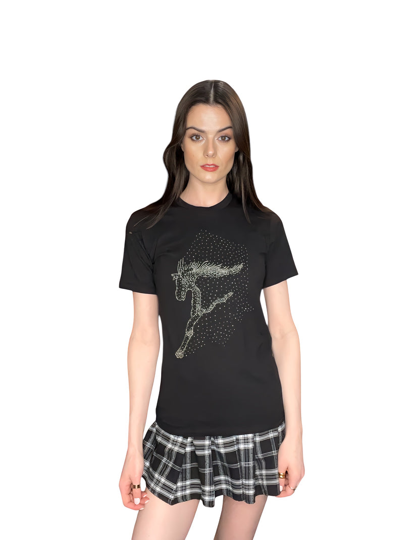 Any Old Iron Wild Stallion T-Shirt